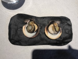 AE Oysters