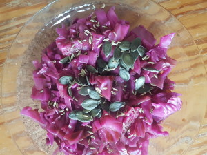 Rot Kohl or Red Cabbage is super high in fiber and anti-oxidants!